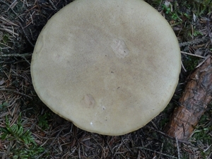 P1000313