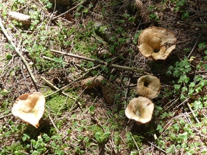 P1000340