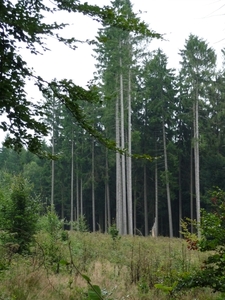 P1000106