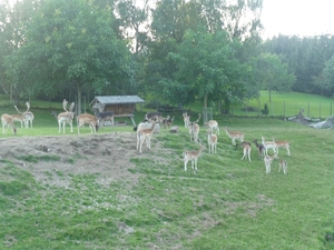 P1000255