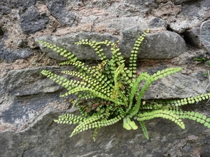 P1000273