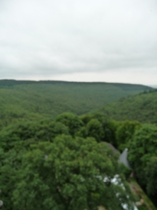 P1000274