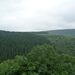 P1000278