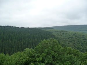 P1000278