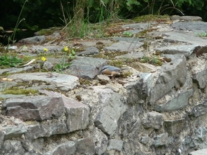P1000284