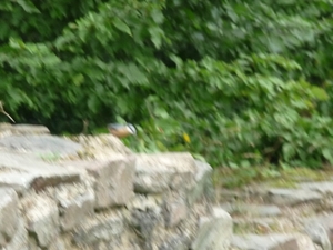 P1000285