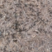 P1000328