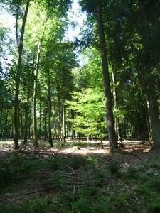 P1000335