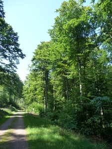P1000347