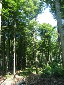P1000349