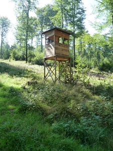 P1000352