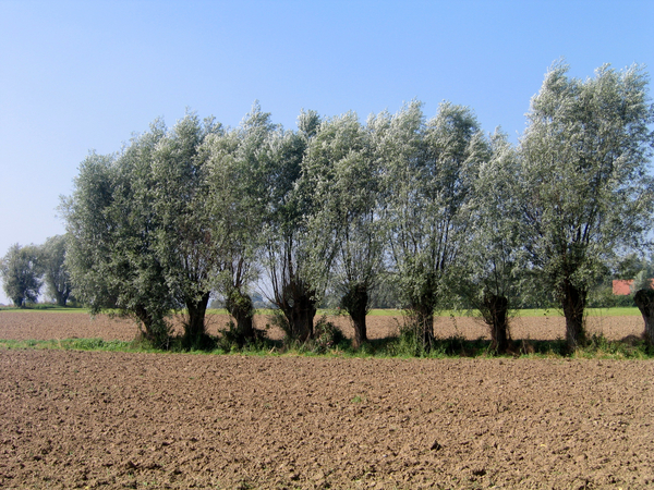 route des collines