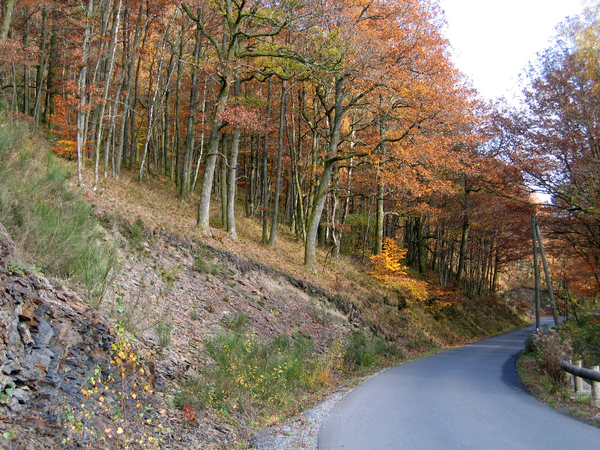 franse ardennen