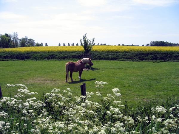 zeeland