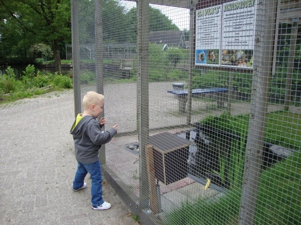 De Naturij in Drachten