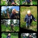 In de Natuur.