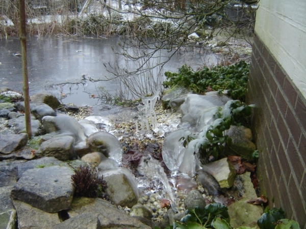 winter vijver winterplaatje winterafbeelding