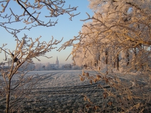 Hofakker in winterkleed