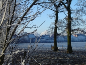 Weiland in winter