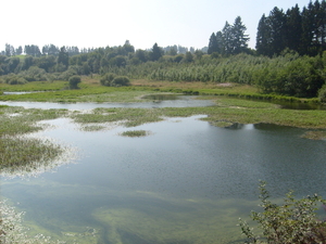 butgenbach 2008 015