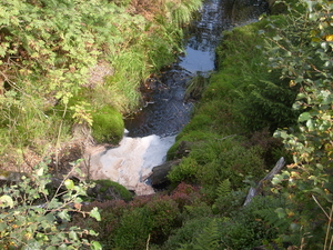 butgenbach 2008 030