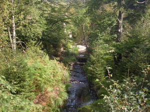 butgenbach 2008 029