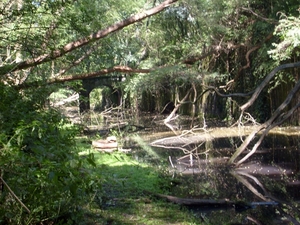 fort steendorp 001