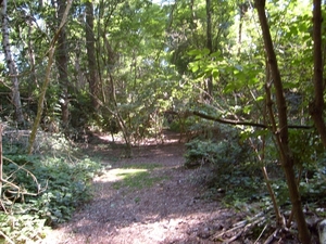 fort steendorp 005