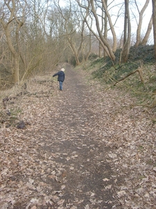 thomas fort 016