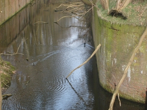 thomas fort 013