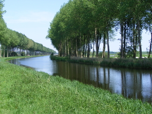 DAMME2008_0511_014315