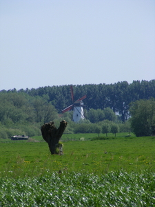 DAMME2008_0511_021505