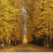 Herfstdreef