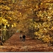 herfstdreef5