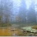 herfst1