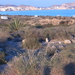 San Juan de los Torreros