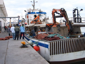 35 Vismijn  in Carboneras