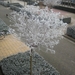 ons boompje in wintertooi