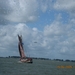 laverend oversteken I