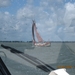 laverend oversteken