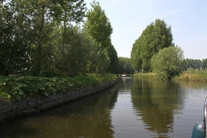 IMG_2889-1