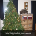 onze kerstboom 2007