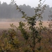 09 Vroeg op pad
