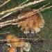 11 Oog voor de natuur