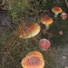 21 Mooi