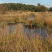 42 Mooie natuur