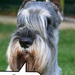 thuis