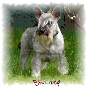 Selma
