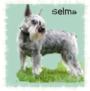Selma