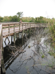 Everglades 12 mei 038